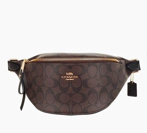 Coach Waist Bag Runway Street Style Bags